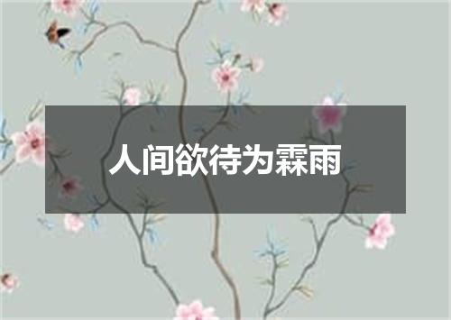 人间欲待为霖雨