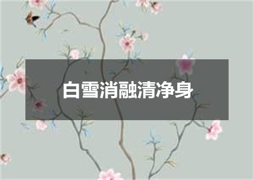 白雪消融清净身