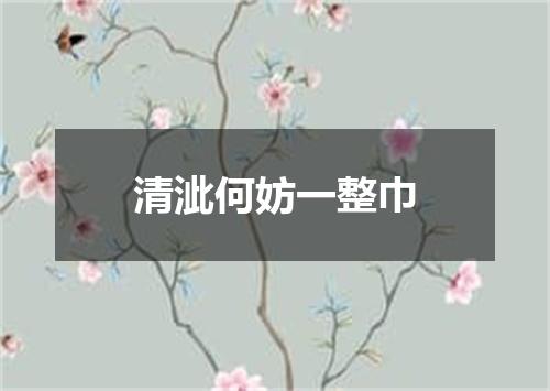 清泚何妨一整巾