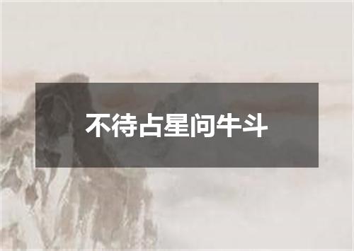 不待占星问牛斗