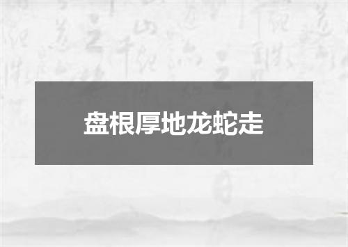盘根厚地龙蛇走