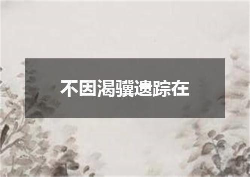 不因渴骥遗踪在
