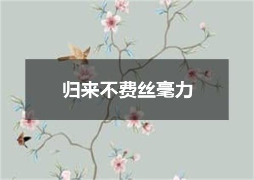 归来不费丝毫力