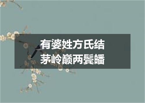 有婆姓方氏结茅岭巅两鬓皤
