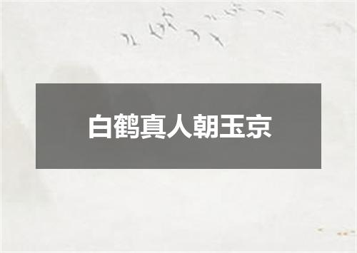白鹤真人朝玉京