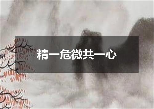 精一危微共一心