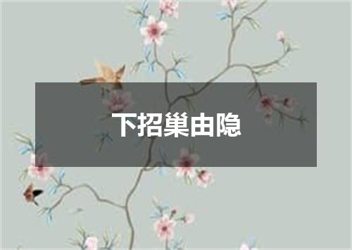 下招巢由隐