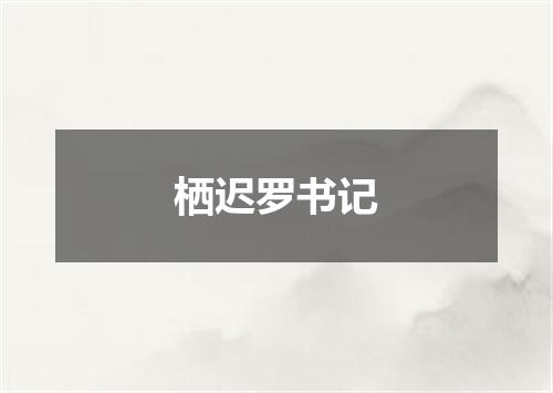 栖迟罗书记