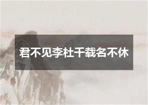 君不见李杜千载名不休