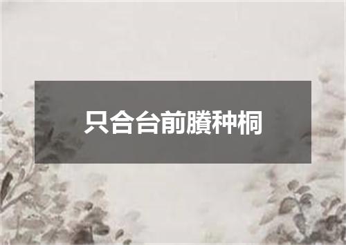 只合台前賸种桐