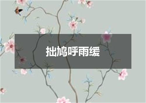 拙鸠呼雨缓
