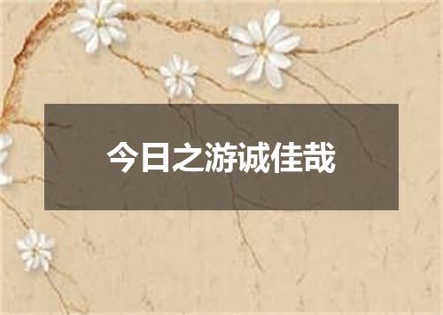 今日之游诚佳哉