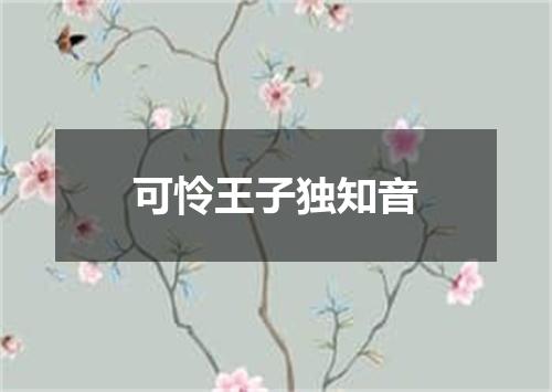 可怜王子独知音