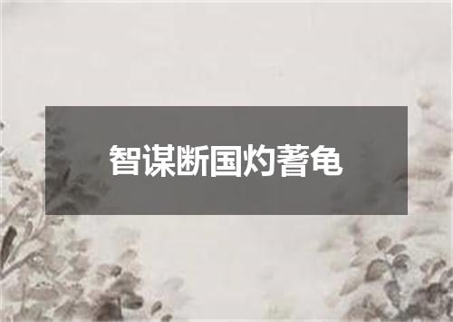 智谋断国灼蓍龟