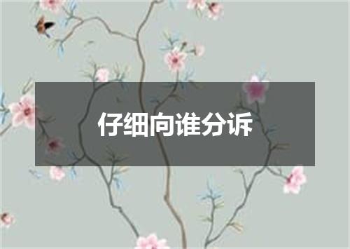 仔细向谁分诉