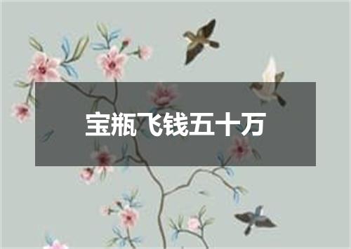 宝瓶飞钱五十万
