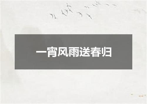 一宵风雨送春归