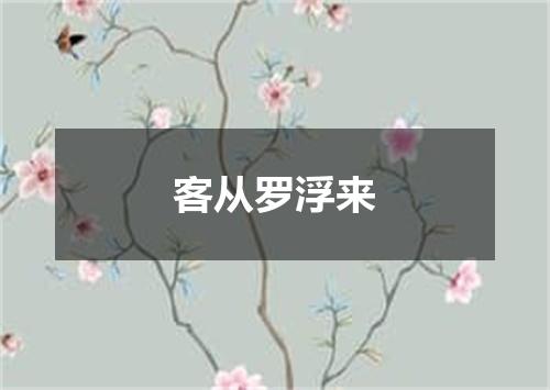 客从罗浮来