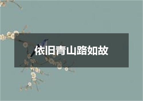 依旧青山路如故