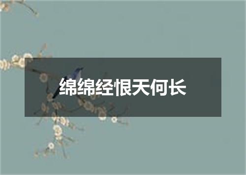 绵绵经恨天何长