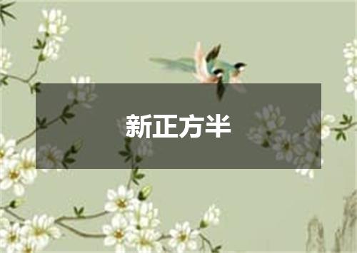 新正方半