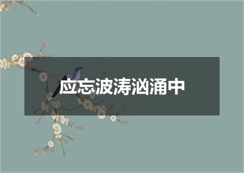 应忘波涛汹涌中