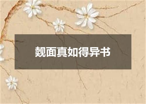 觌面真如得异书