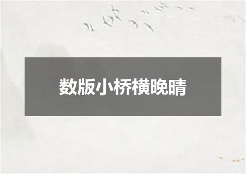 数版小桥横晚晴