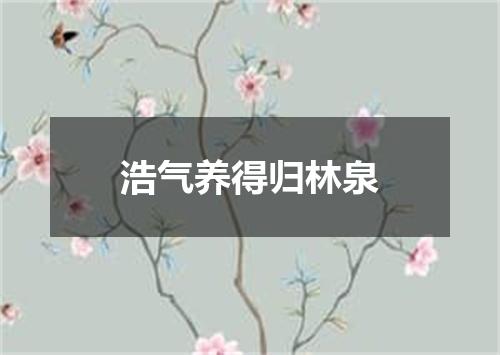 浩气养得归林泉