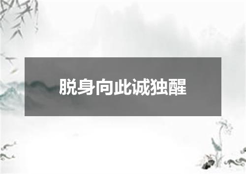 脱身向此诚独醒