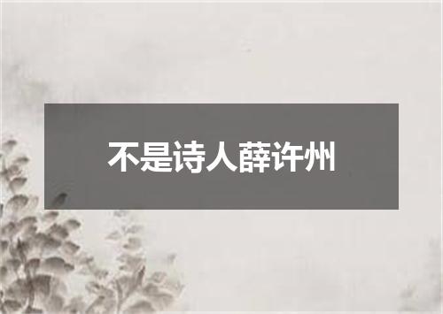 不是诗人薛许州
