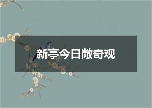 新亭今日敞奇观