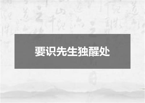 要识先生独醒处