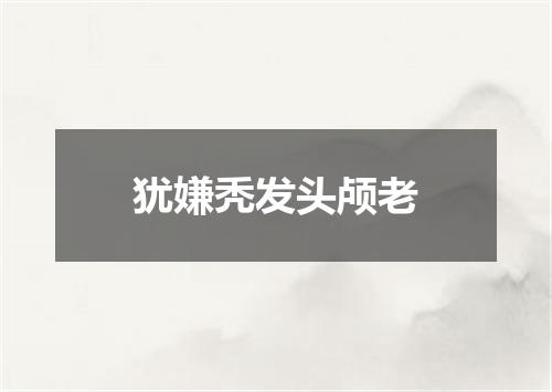 犹嫌秃发头颅老