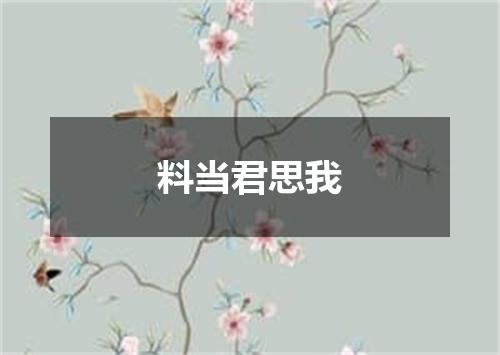 料当君思我