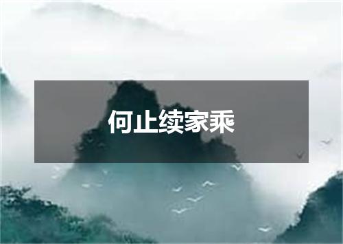 何止续家乘
