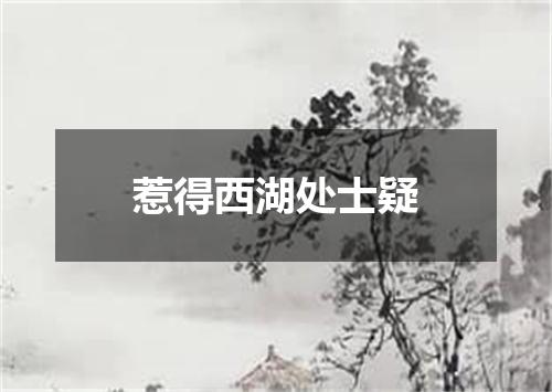 惹得西湖处士疑