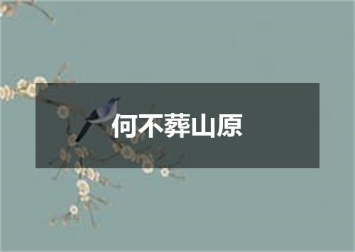何不葬山原