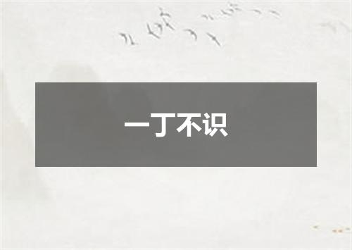 一丁不识
