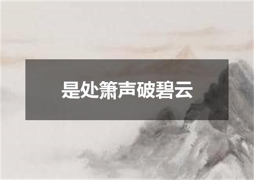 是处箫声破碧云