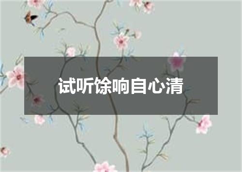 试听馀响自心清