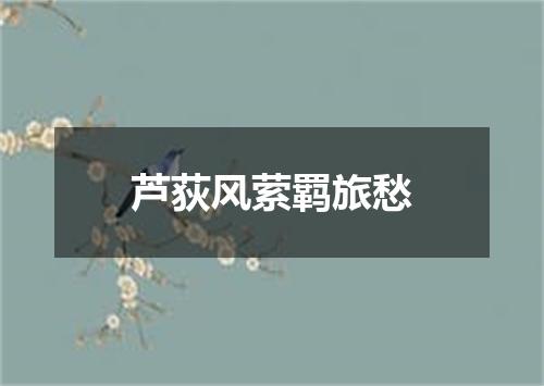 芦荻风萦羁旅愁