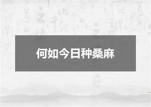 何如今日种桑麻