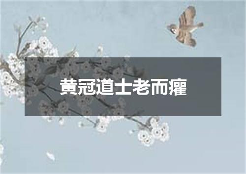黄冠道士老而癯