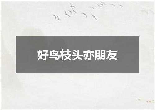好鸟枝头亦朋友