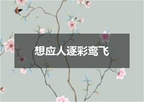 想应人逐彩鸾飞
