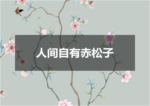 人间自有赤松子