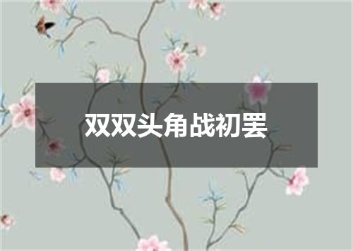 双双头角战初罢