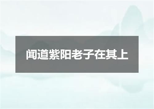 闻道紫阳老子在其上