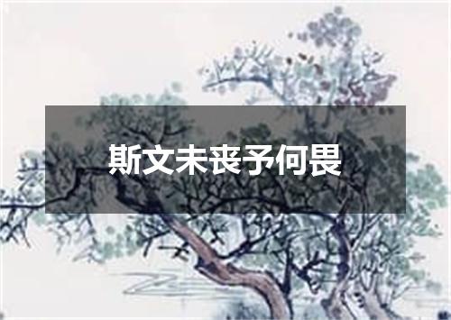 斯文未丧予何畏